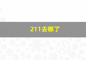 211去哪了