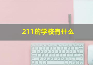 211的学校有什么