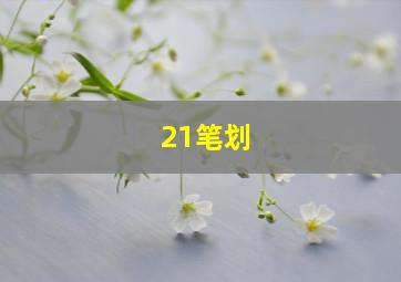 21笔划