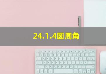 24.1.4圆周角