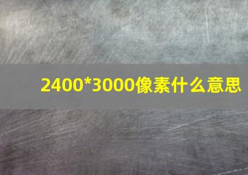 2400*3000像素什么意思