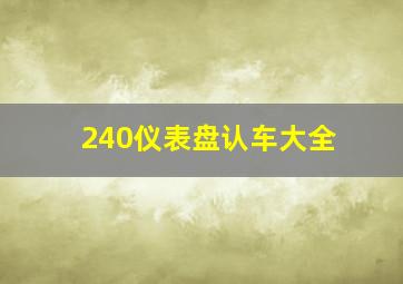 240仪表盘认车大全