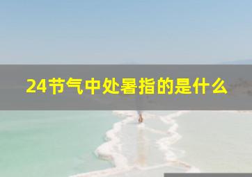 24节气中处暑指的是什么