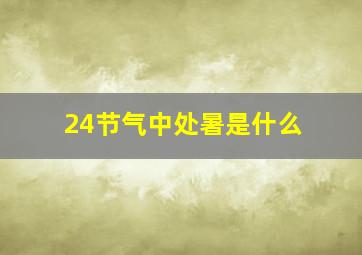 24节气中处暑是什么