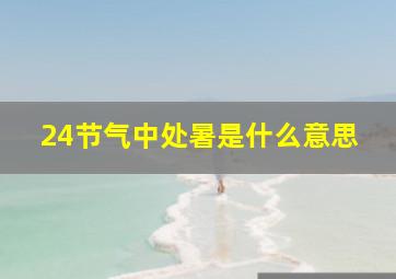 24节气中处暑是什么意思