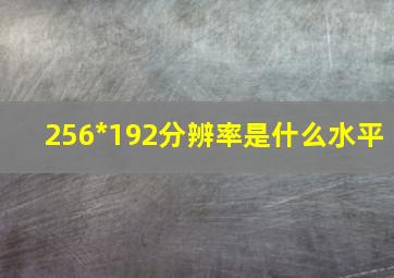 256*192分辨率是什么水平