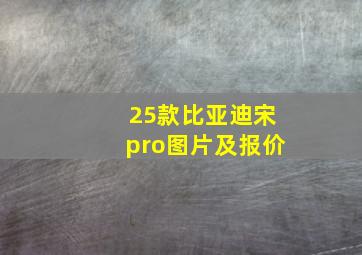 25款比亚迪宋pro图片及报价