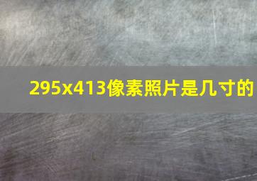 295x413像素照片是几寸的