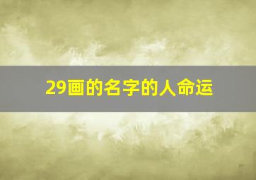 29画的名字的人命运