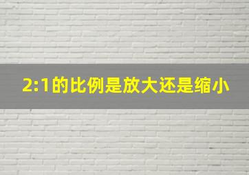 2:1的比例是放大还是缩小