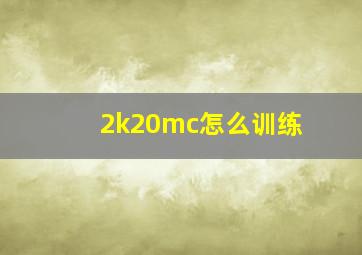 2k20mc怎么训练