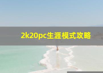 2k20pc生涯模式攻略