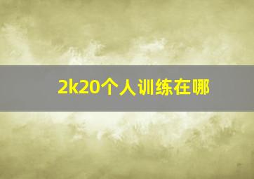 2k20个人训练在哪