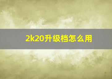 2k20升级档怎么用