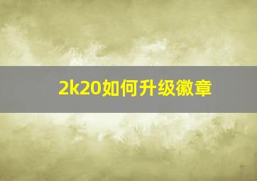 2k20如何升级徽章