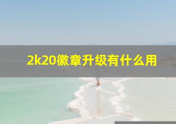 2k20徽章升级有什么用