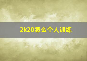 2k20怎么个人训练