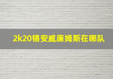 2k20锡安威廉姆斯在哪队