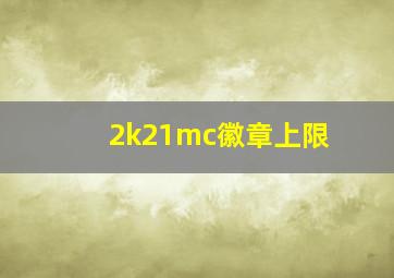 2k21mc徽章上限