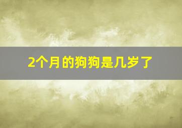 2个月的狗狗是几岁了