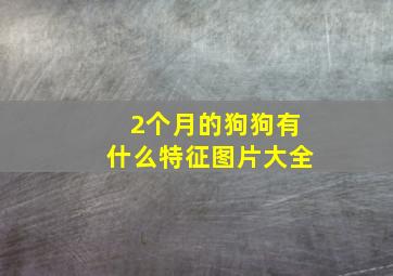 2个月的狗狗有什么特征图片大全