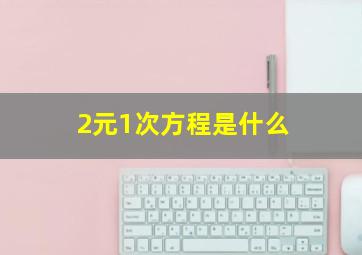 2元1次方程是什么