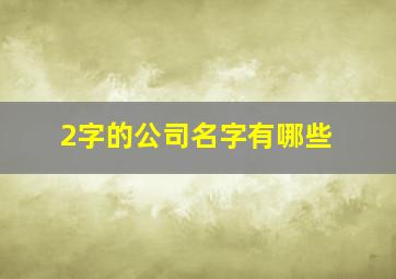 2字的公司名字有哪些