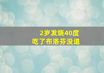 2岁发烧40度吃了布洛芬没退