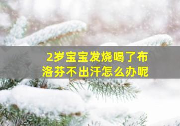 2岁宝宝发烧喝了布洛芬不出汗怎么办呢