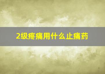 2级疼痛用什么止痛药