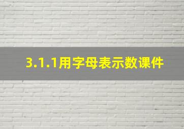 3.1.1用字母表示数课件