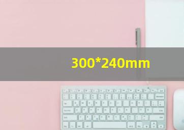 300*240mm