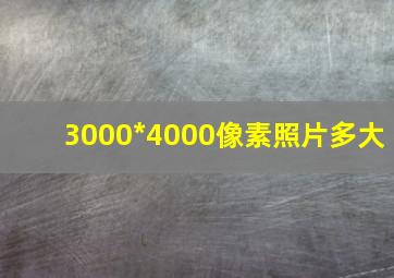 3000*4000像素照片多大