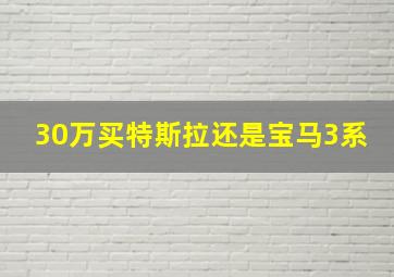 30万买特斯拉还是宝马3系