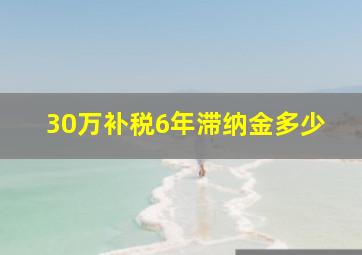 30万补税6年滞纳金多少