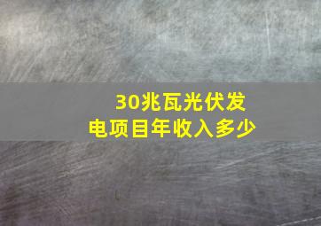 30兆瓦光伏发电项目年收入多少