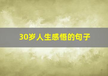 30岁人生感悟的句子