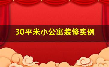 30平米小公寓装修实例