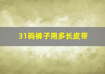 31码裤子用多长皮带