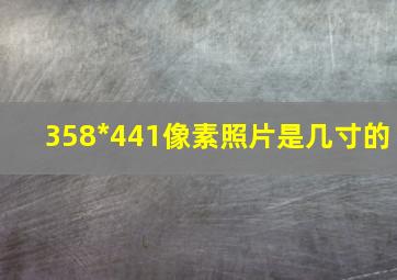 358*441像素照片是几寸的