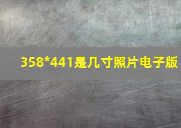 358*441是几寸照片电子版