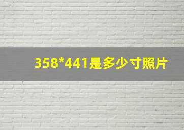 358*441是多少寸照片