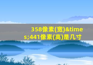 358像素(宽)×441像素(高)是几寸