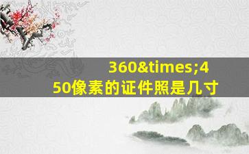 360×450像素的证件照是几寸