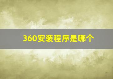 360安装程序是哪个