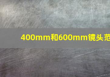 400mm和600mm镜头范围