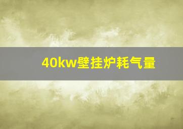 40kw壁挂炉耗气量