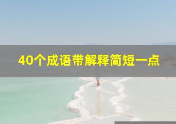 40个成语带解释简短一点