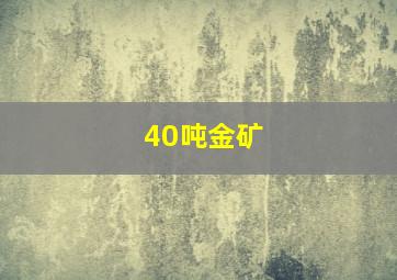 40吨金矿