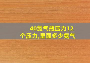 40氮气瓶压力12个压力,里面多少氮气